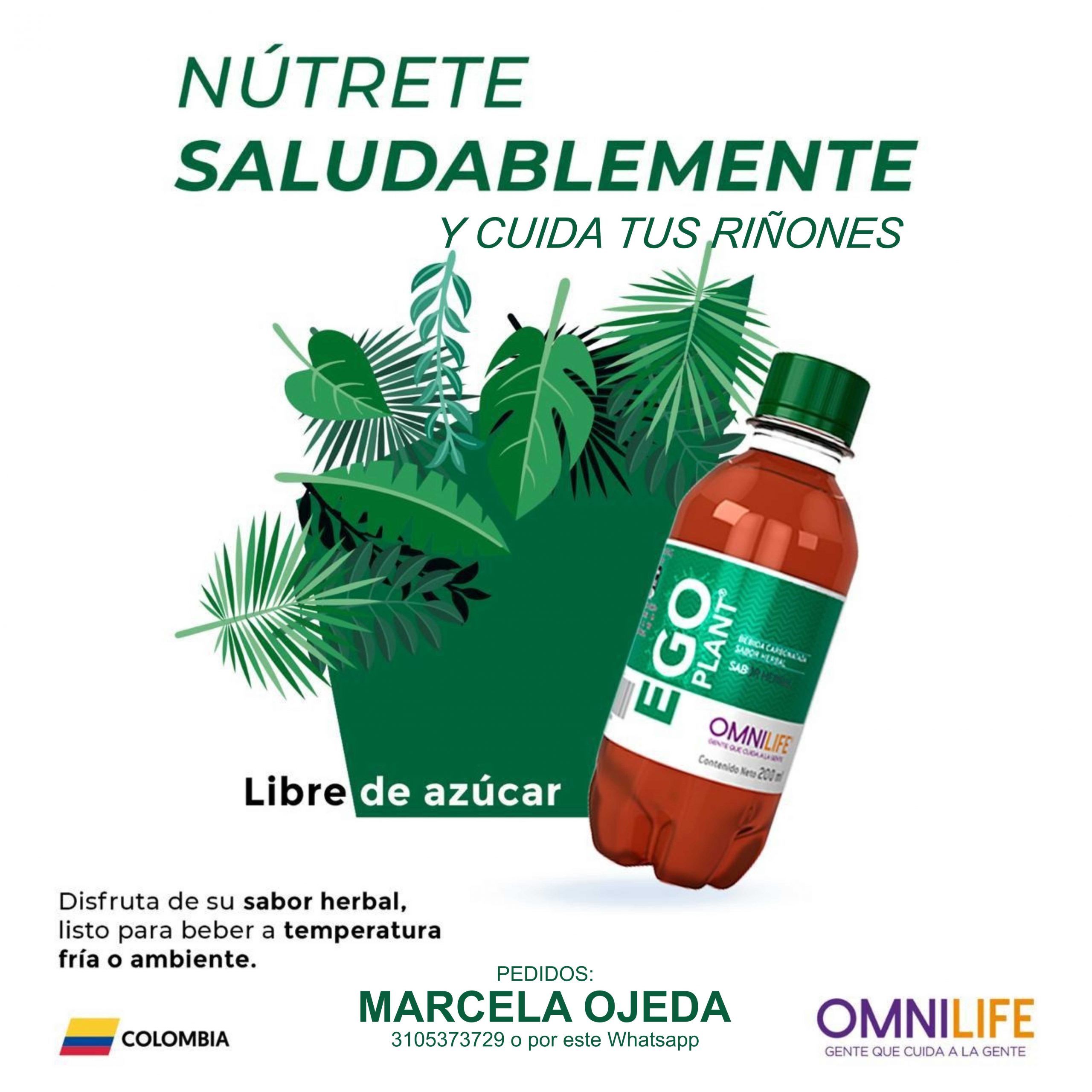 Publicaciones-OMD-2004-scaled.jpg